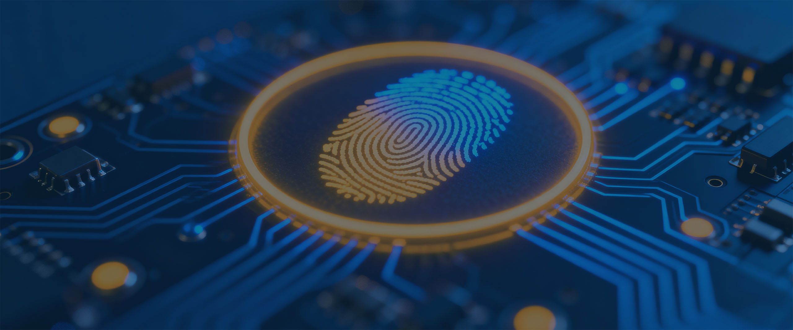 IT-diensten in Groningen