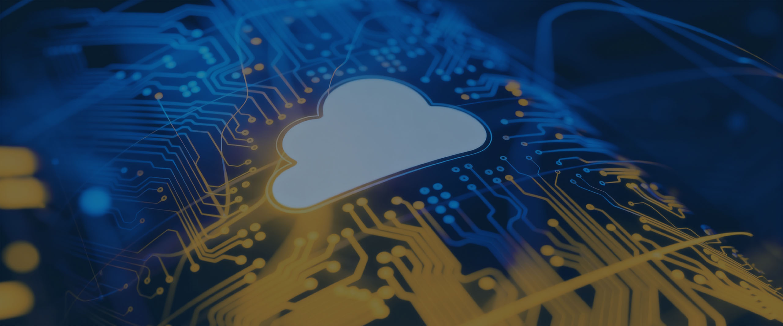 IT-diensten in Zeeland