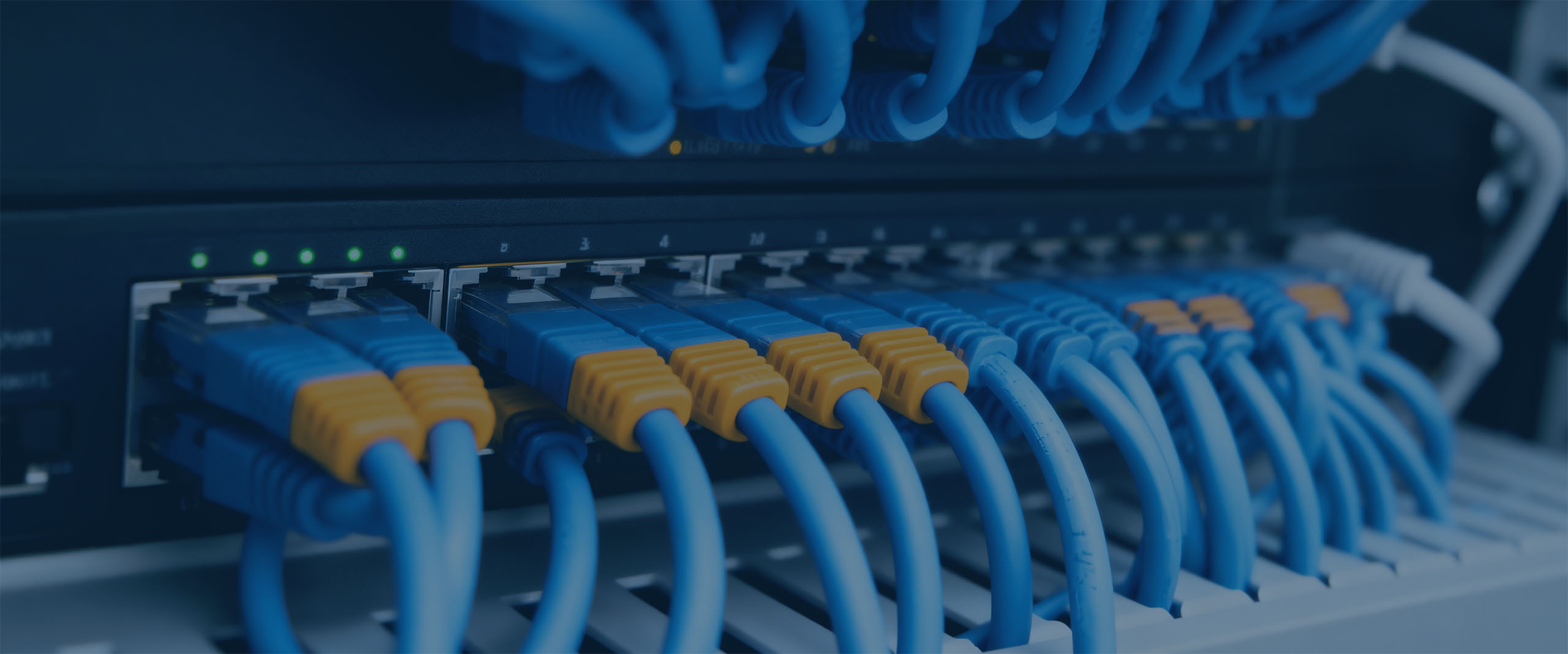 IT-diensten in Zuid-Holland